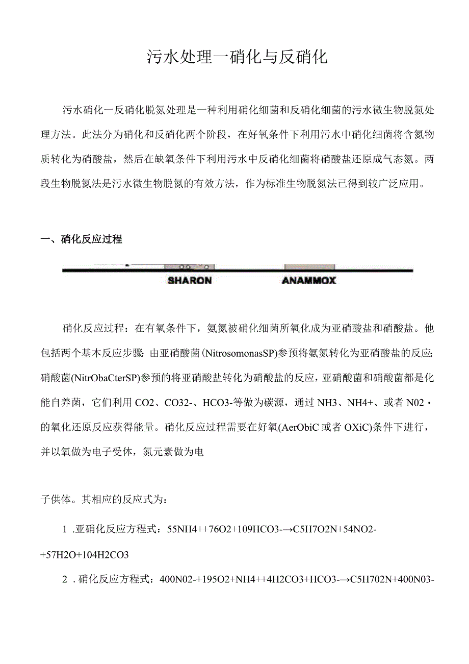 污水处理—硝化与反硝化.docx_第1页