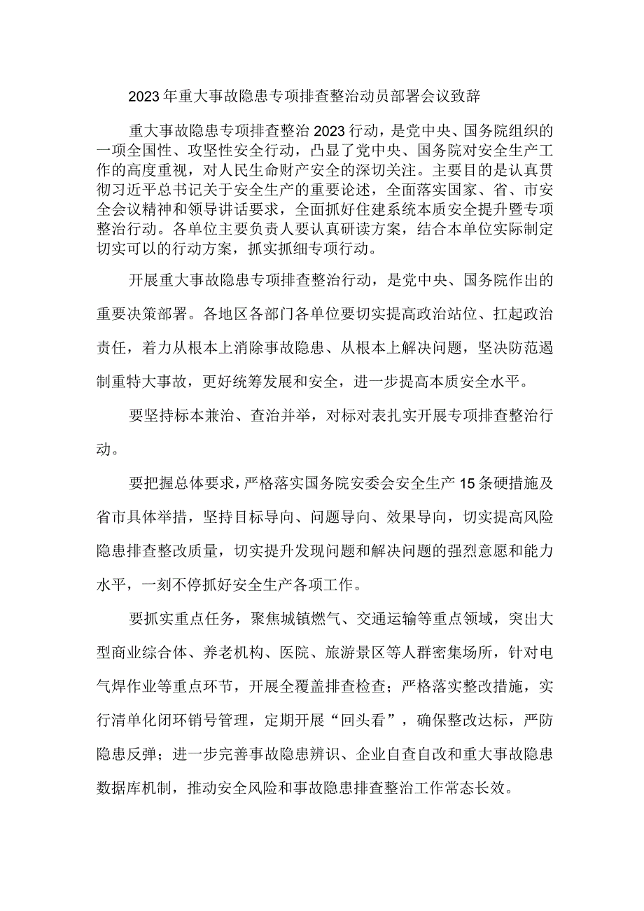 电力行业2023年重大事故隐患专项排查整治动员部署会议致辞 合辑六篇.docx_第1页