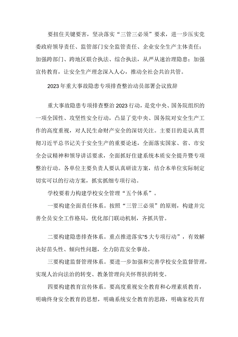 电力行业2023年重大事故隐患专项排查整治动员部署会议致辞 合辑六篇.docx_第2页