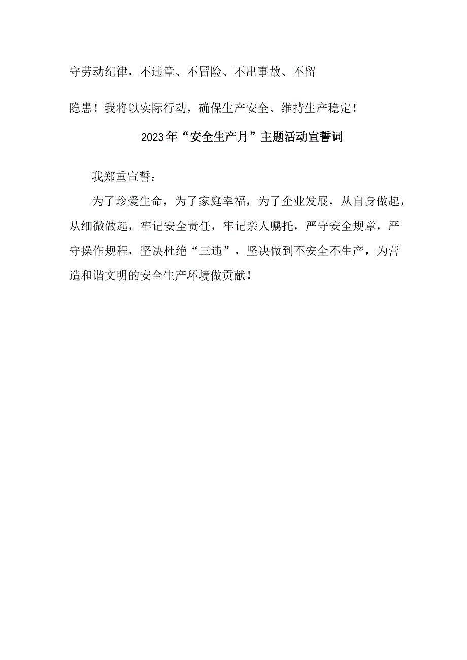 民营企业2023年安全生产月宣誓词.docx_第2页