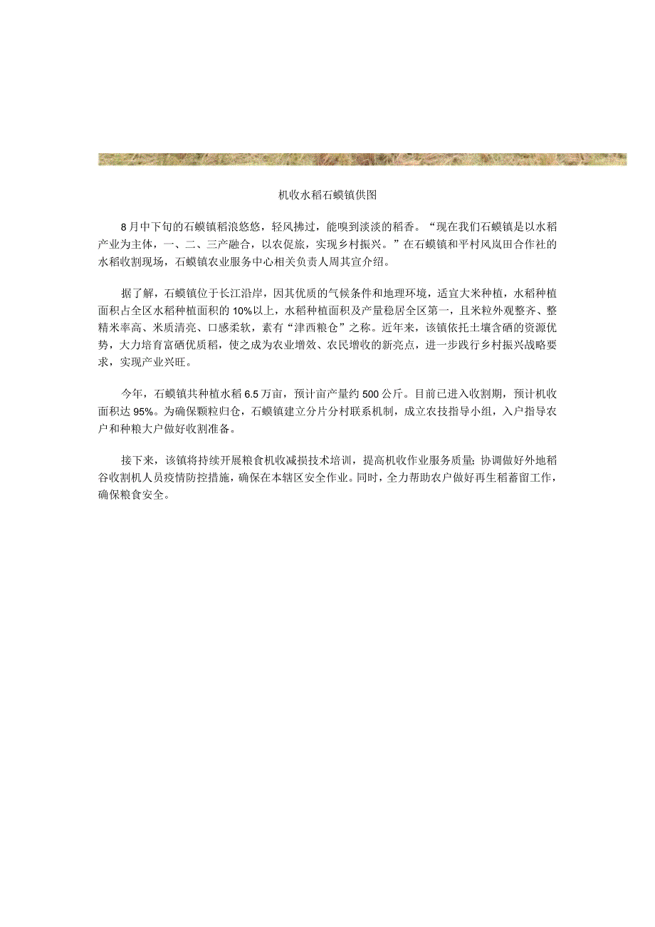 石蟆镇5万亩水稻全面收割预计机收面积达95%.docx_第2页