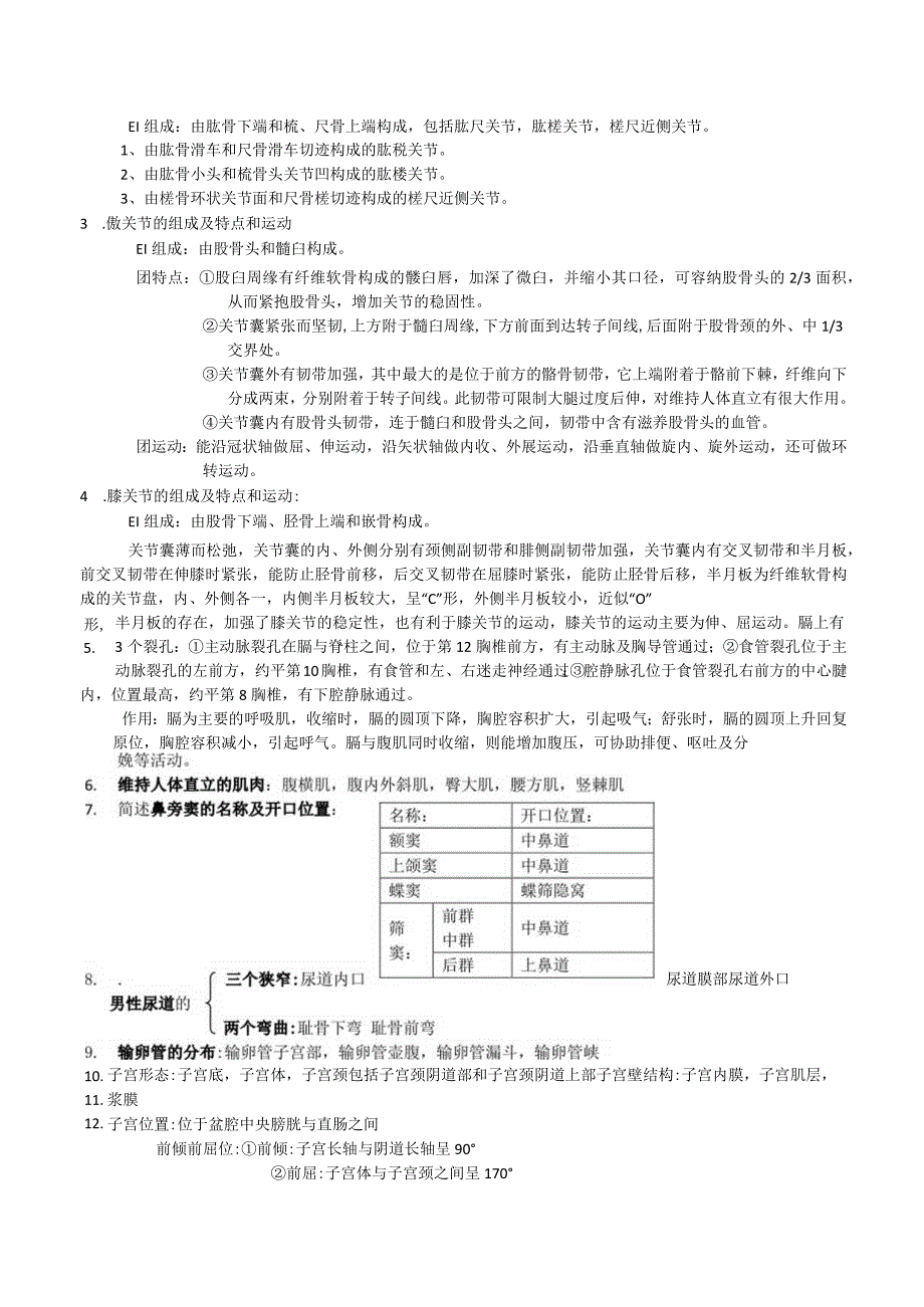 正常人体解剖学期末复习知识点.docx_第2页