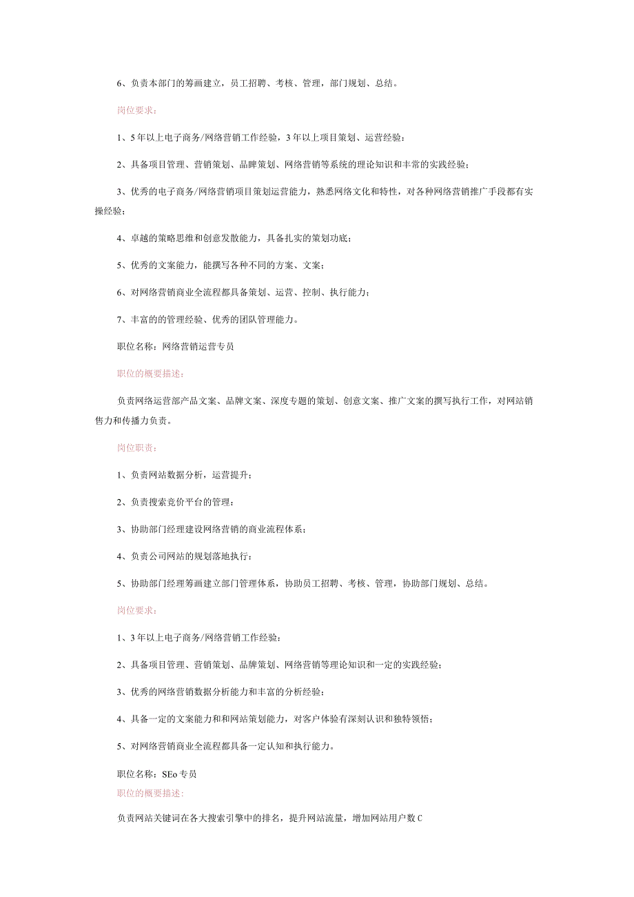 网络营销部门各岗位职责及岗位要求.docx_第2页