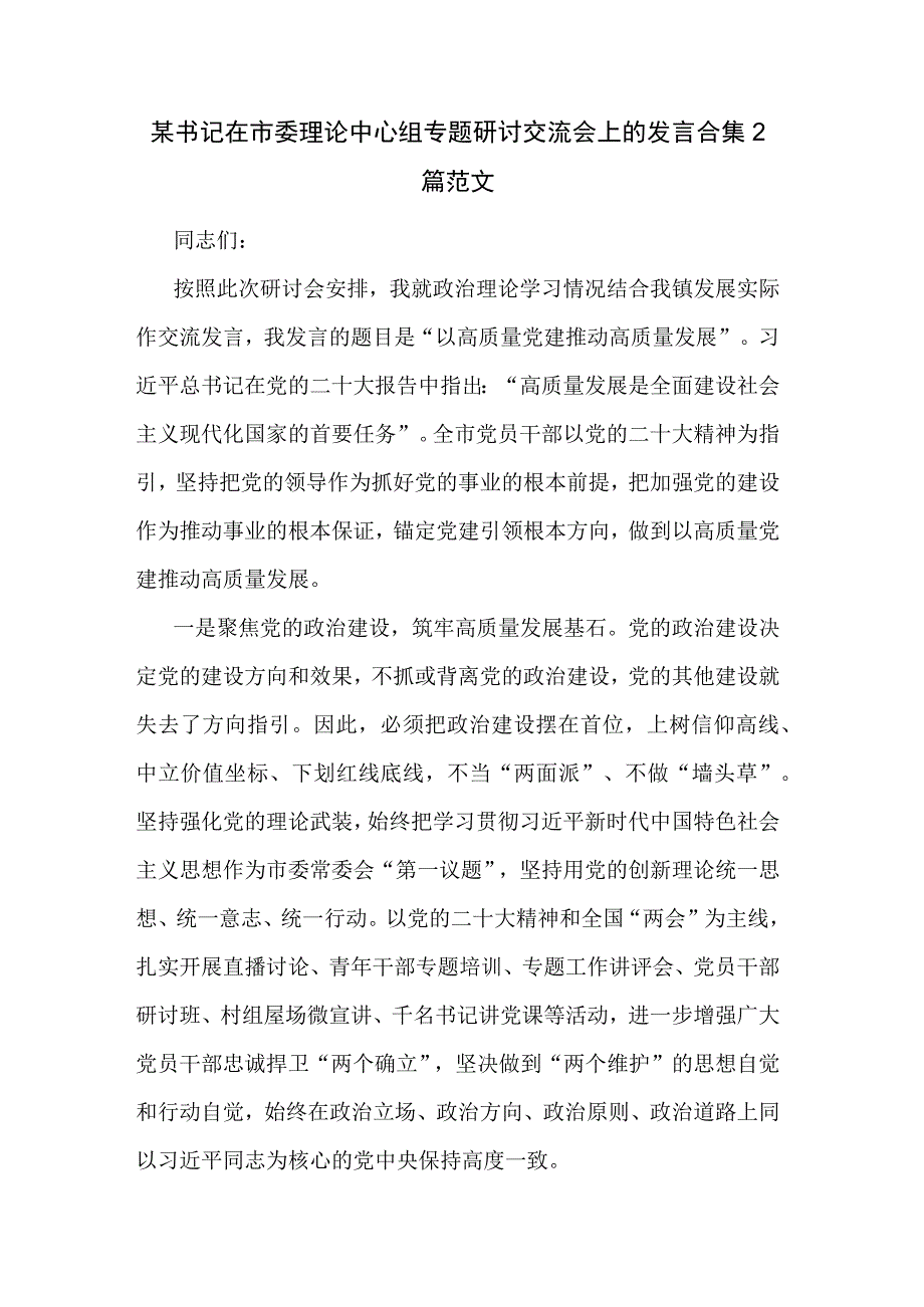 某书记在市委理论中心组专题研讨交流会上的发言合集2篇范文.docx_第1页