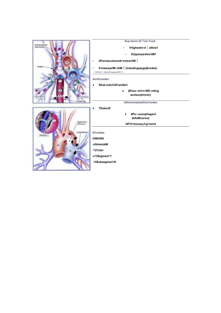 胸内淋巴结的分组.docx_第3页