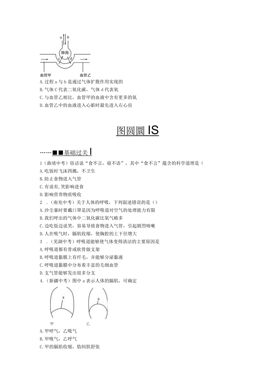 课时9人体的呼吸.docx_第2页