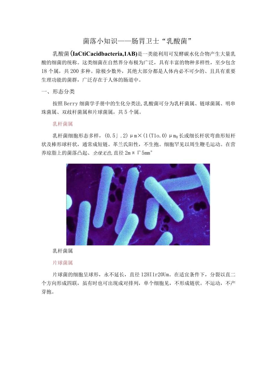 菌落小知识——肠胃卫士乳酸菌.docx_第1页