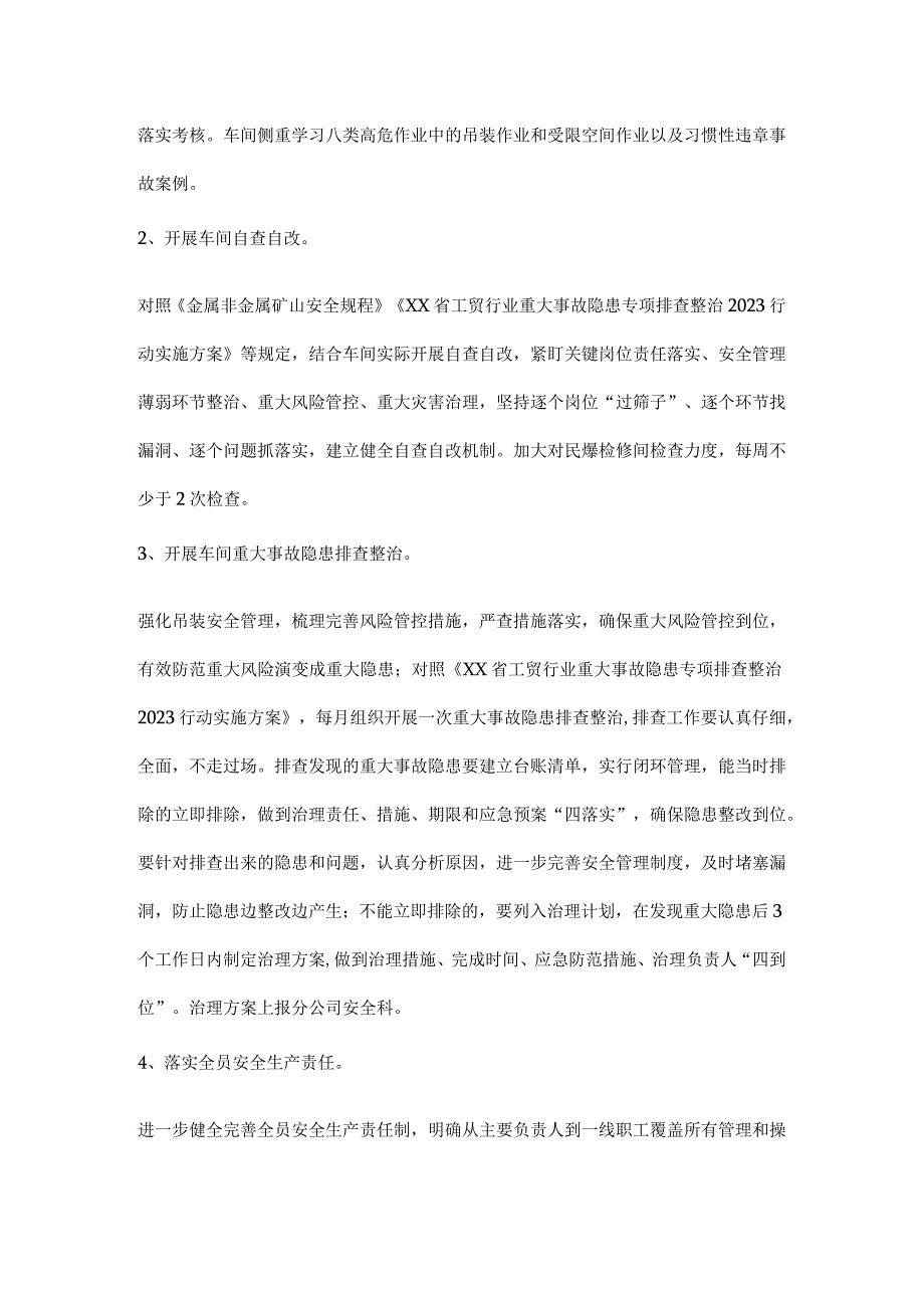 车间重大事故隐患专项排查整治行动实施方案.docx_第2页