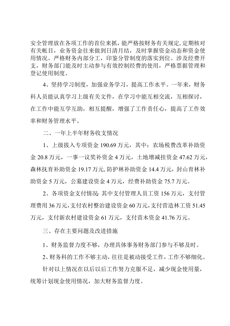 财务人员个人上半年工作总结.docx_第2页