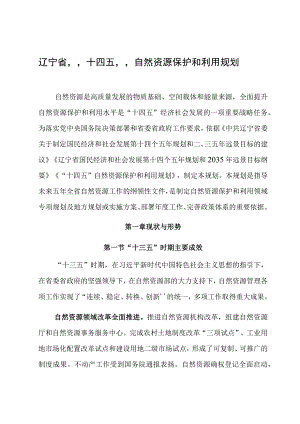 辽宁省十四五自然资源保护和利用规划.docx