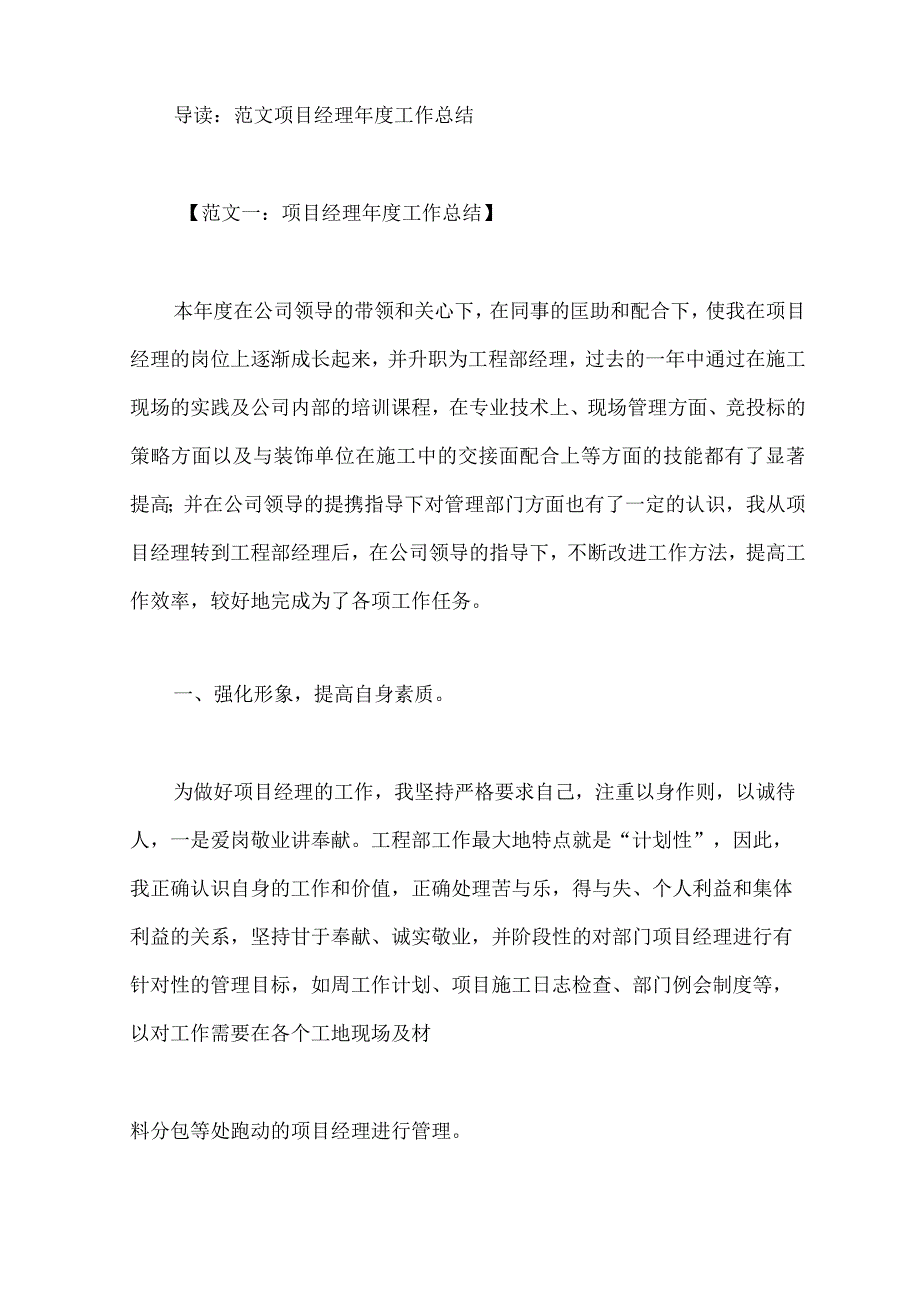 项目经理年度工作总结.docx_第1页