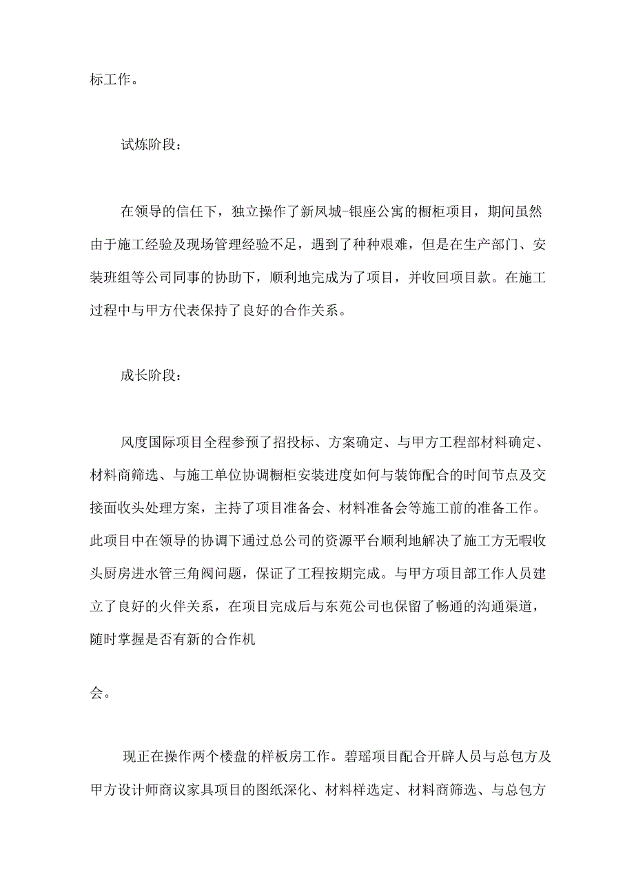 项目经理年度工作总结.docx_第3页