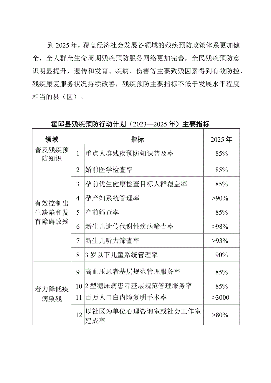 霍邱县残疾预防行动计划20232025年.docx_第2页