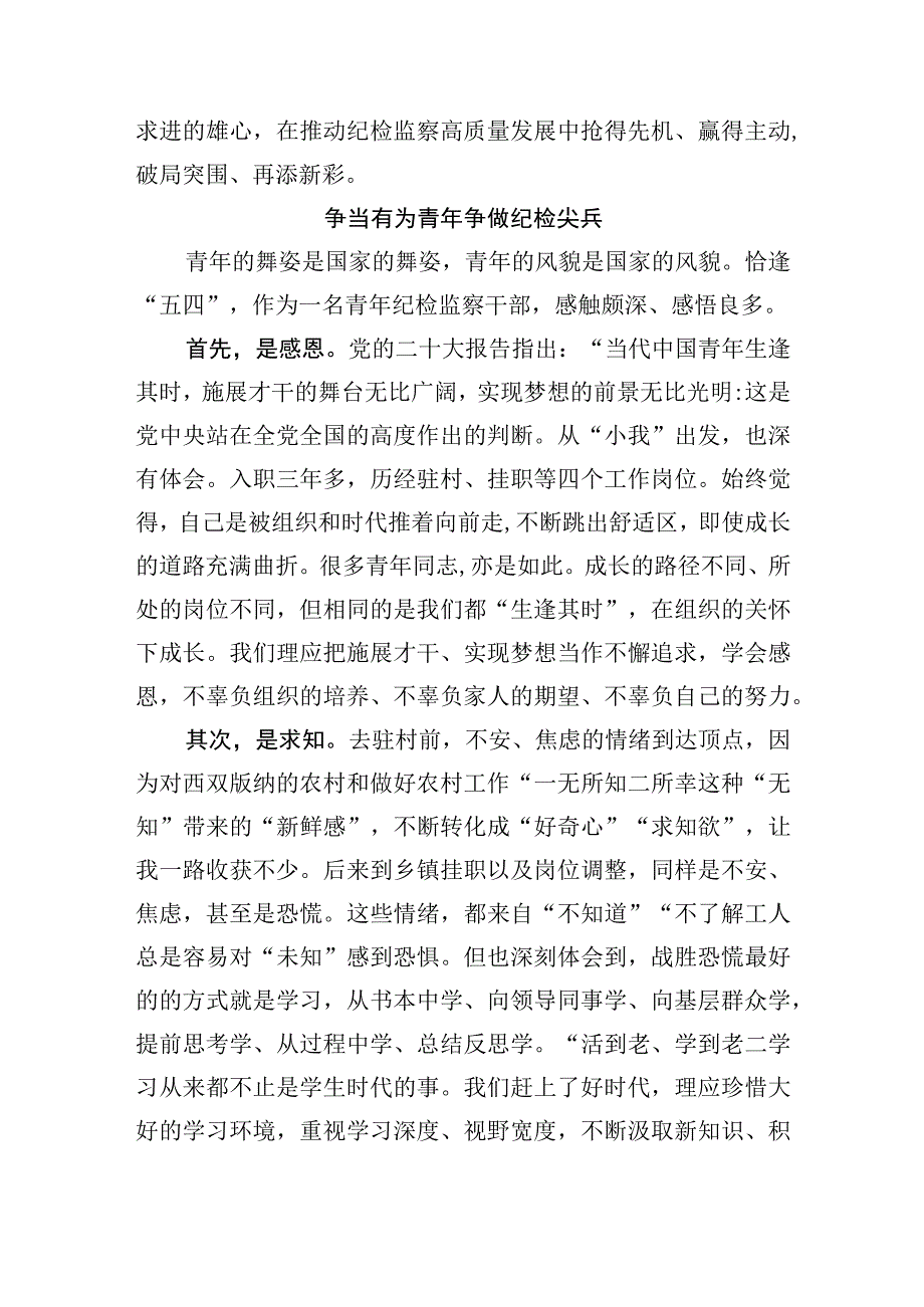 青年纪检监察干部交流发言汇编2篇_002.docx_第3页