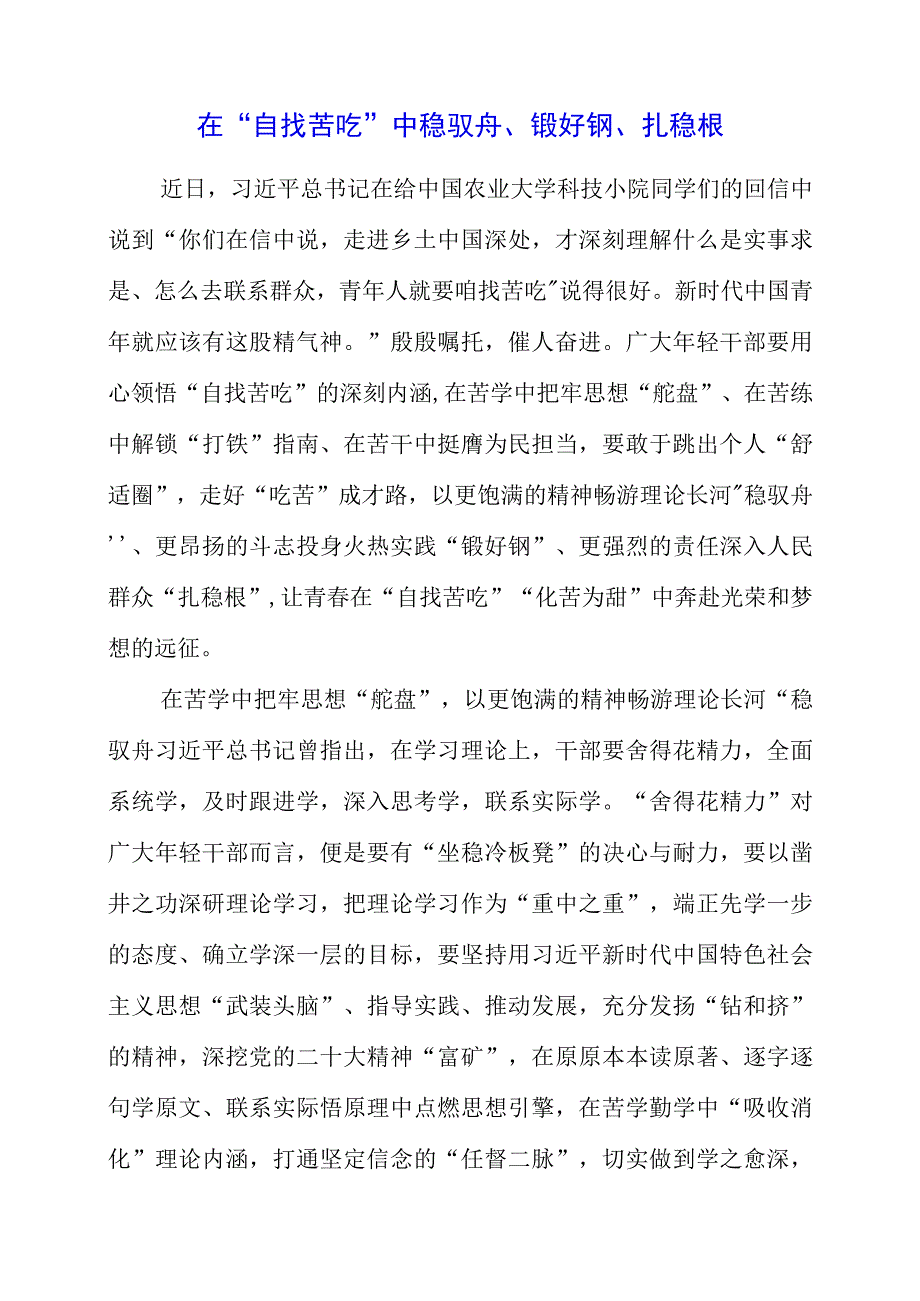 2023年大兴调查研究专题会议个人学习心得与感想.docx_第1页