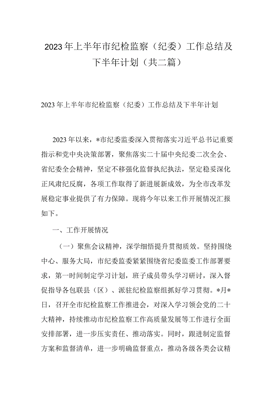 2023年上半年市纪检监察纪委工作总结及下半年计划共二篇.docx_第1页