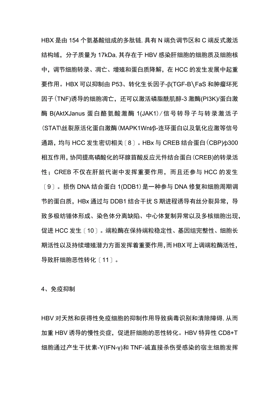 2023常见肝病发生肝细胞癌的机制.docx_第3页