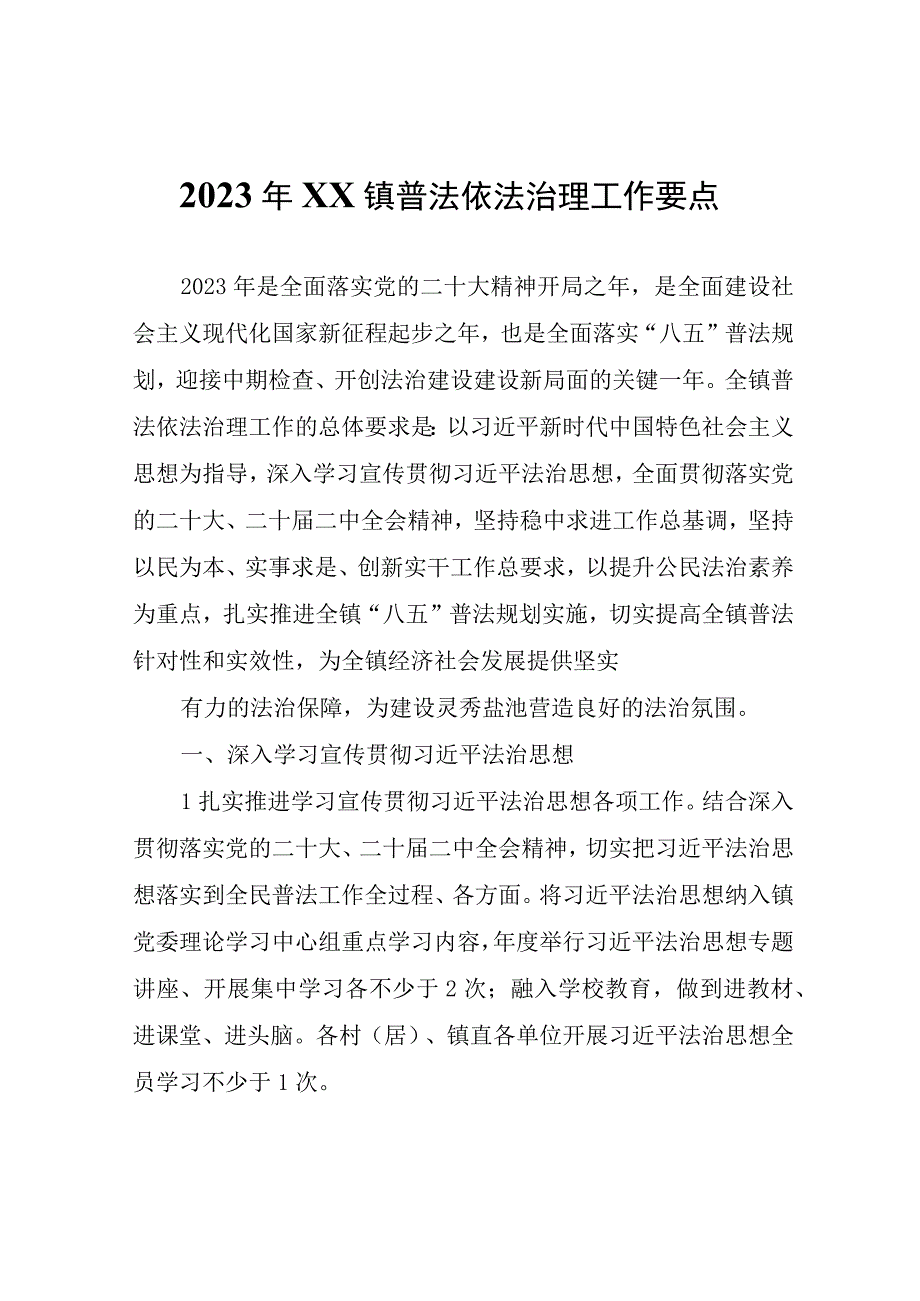 2023年XX镇普法依法治理工作要点.docx_第1页