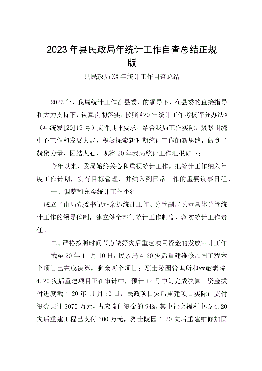 2023年县民政局年统计工作自查总结.docx_第1页