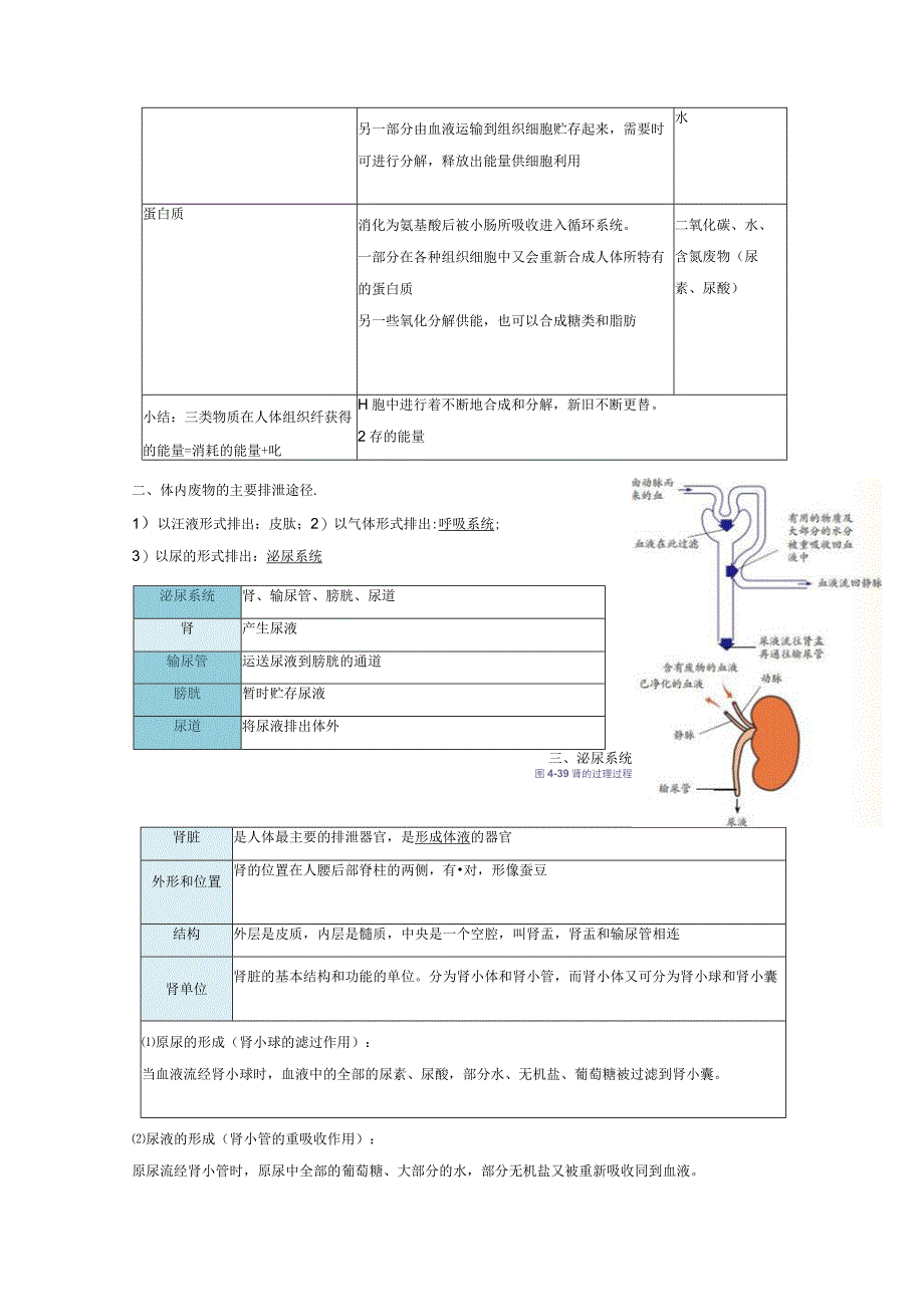 45 体内物质的动态平衡 1公开课教案教学设计课件资料.docx_第2页