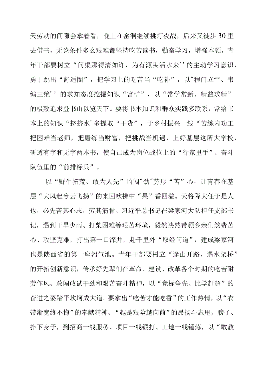 2023年青年人就要‘自找苦吃’专题研讨会学习心得感受.docx_第2页