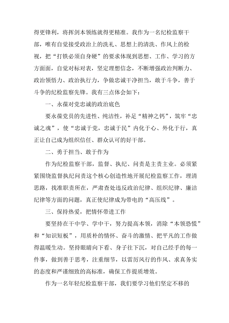 国企单位2023年纪检监察干部队伍教育整顿个人心得体会 汇编12份.docx_第3页