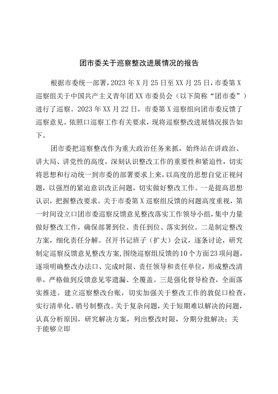 团市委关于巡察整改进展情况的报告.docx_第1页