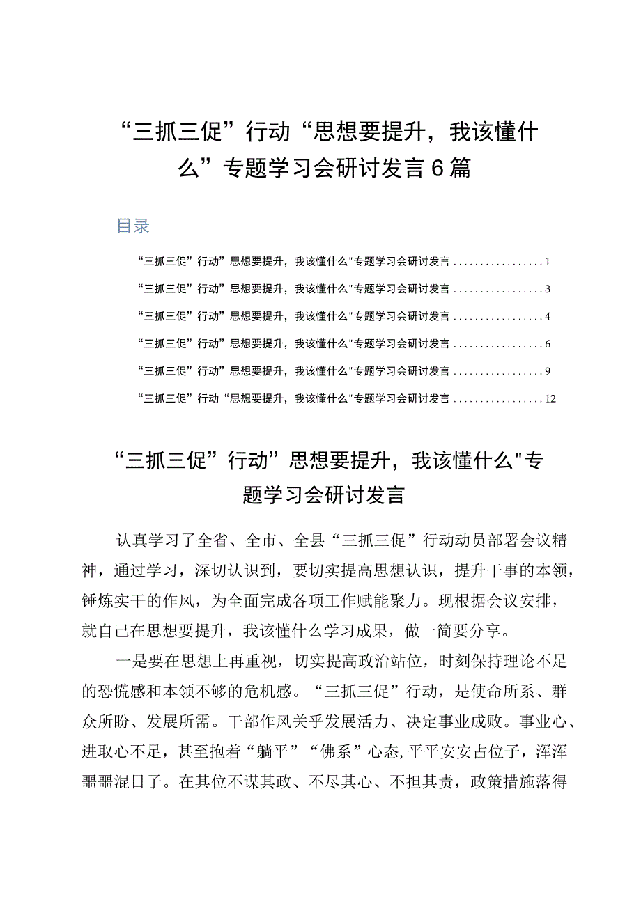 三抓三促行动思想要提升我该懂什么专题学习会研讨发言6篇.docx_第1页