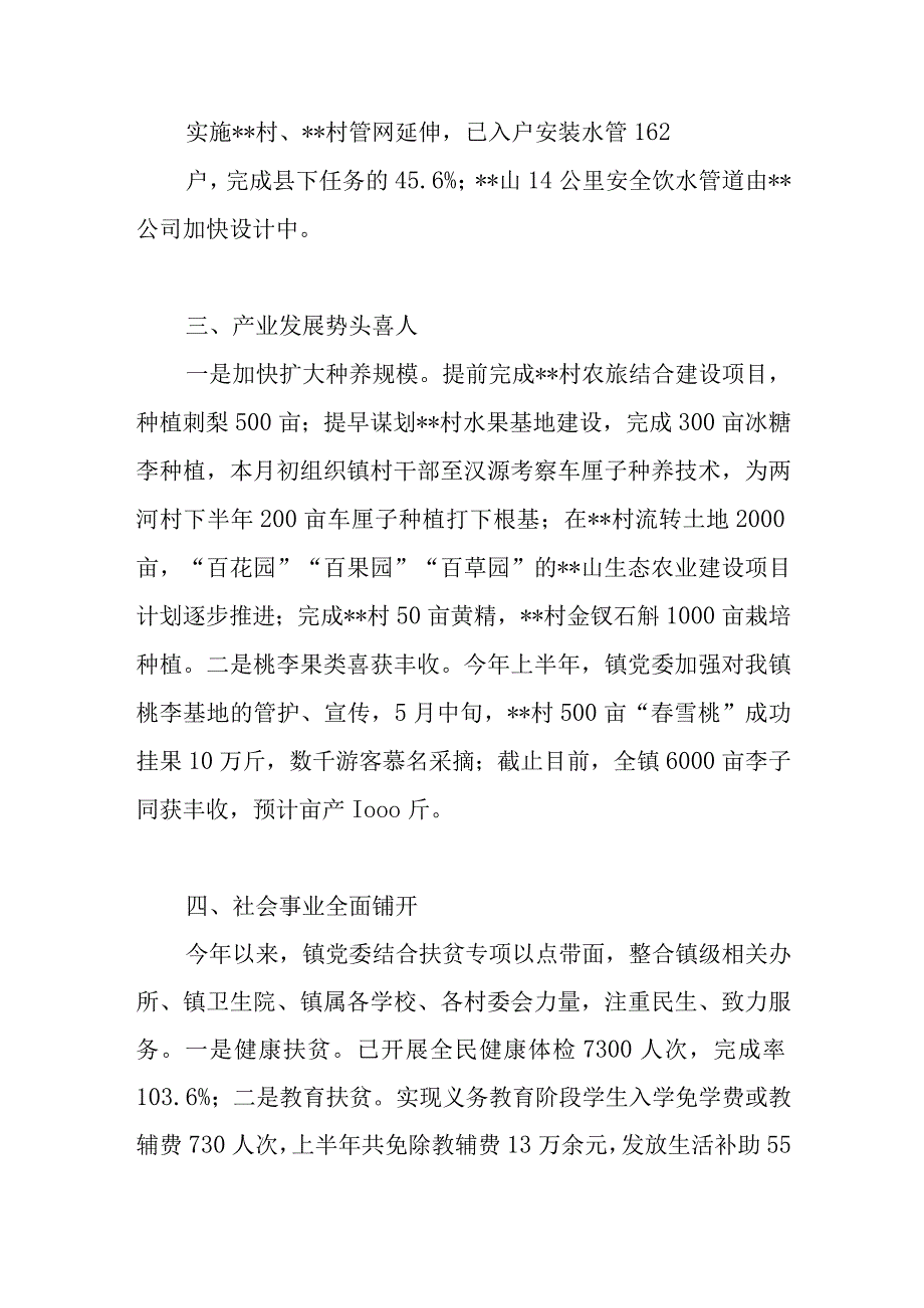 乡镇2023年上半年工作总结和下半年工作要点计划思想打算.docx_第3页