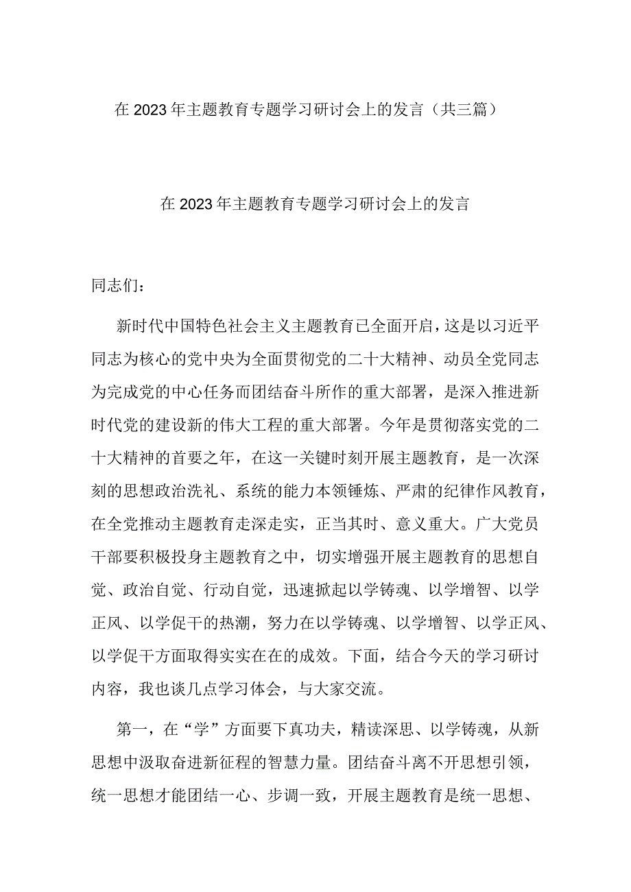 在2023年主题教育专题学习研讨会上的发言(共三篇).docx_第1页