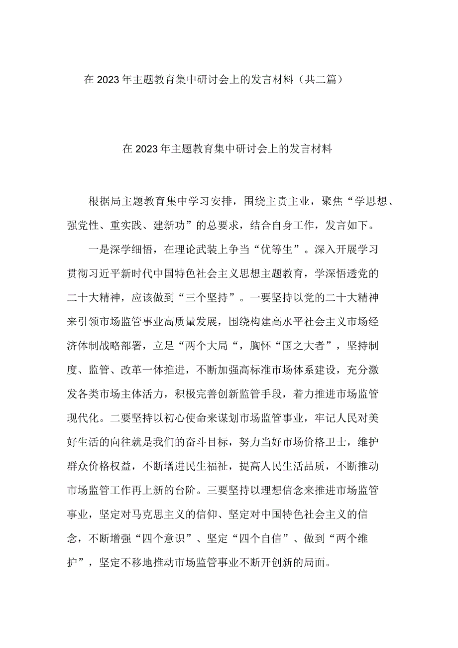 在2023年主题教育集中研讨会上的发言材料(共二篇).docx_第1页