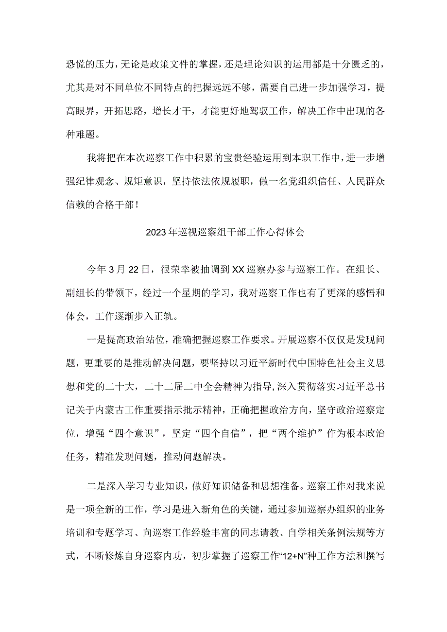 国有企业单位2023年纪检巡察组巡检工作个人心得体会 （合计10份）.docx_第2页