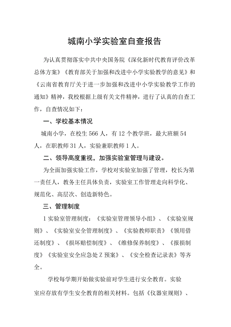 城南小学实验室自查报告.docx_第1页