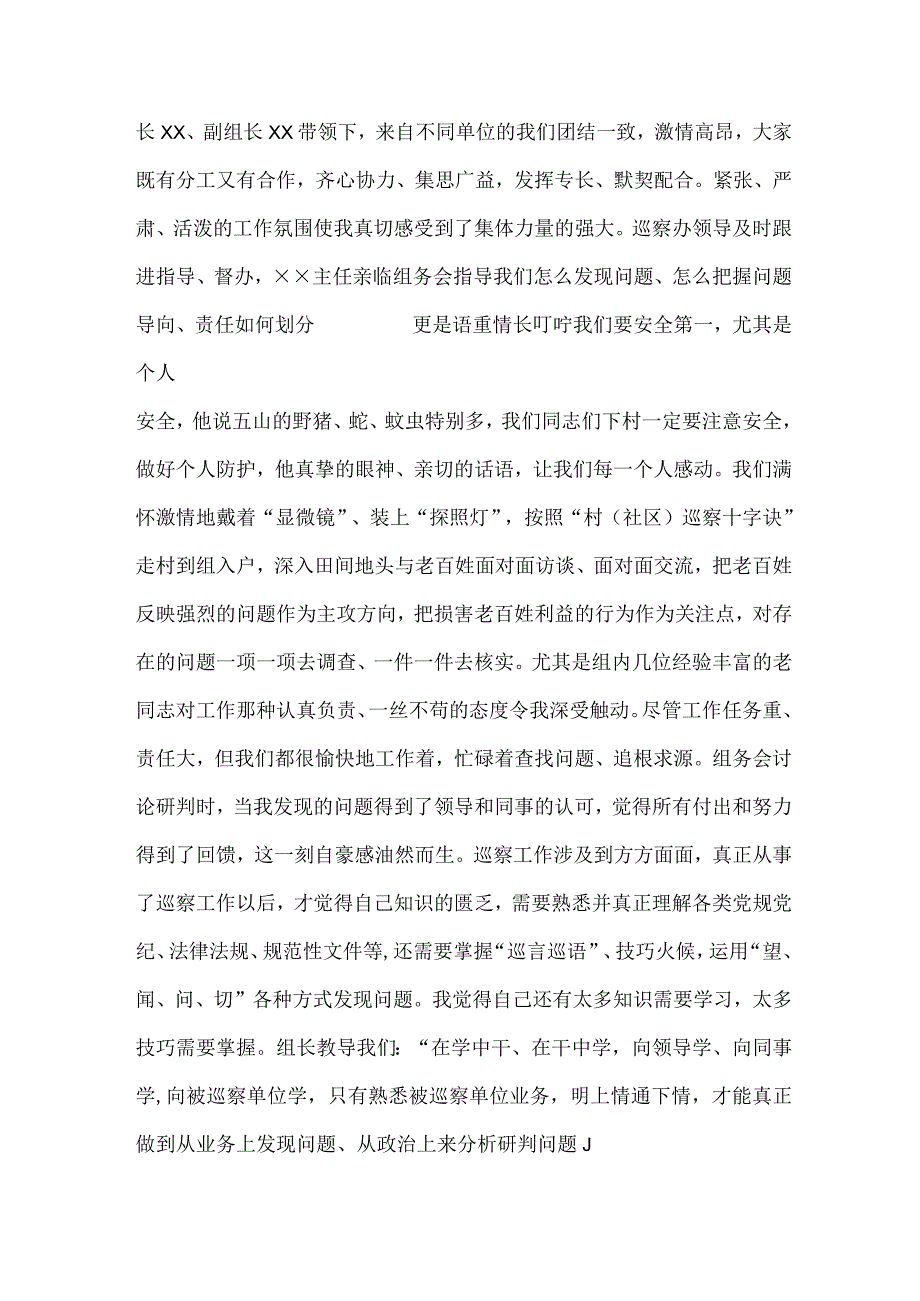 国有单位2023年纪检巡察组巡检工作心得体会 汇编7份.docx_第2页