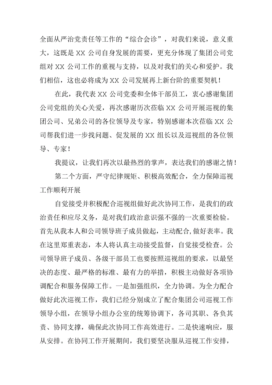 在公司巡视（巡察）工作动员会上的表态发言.docx_第3页