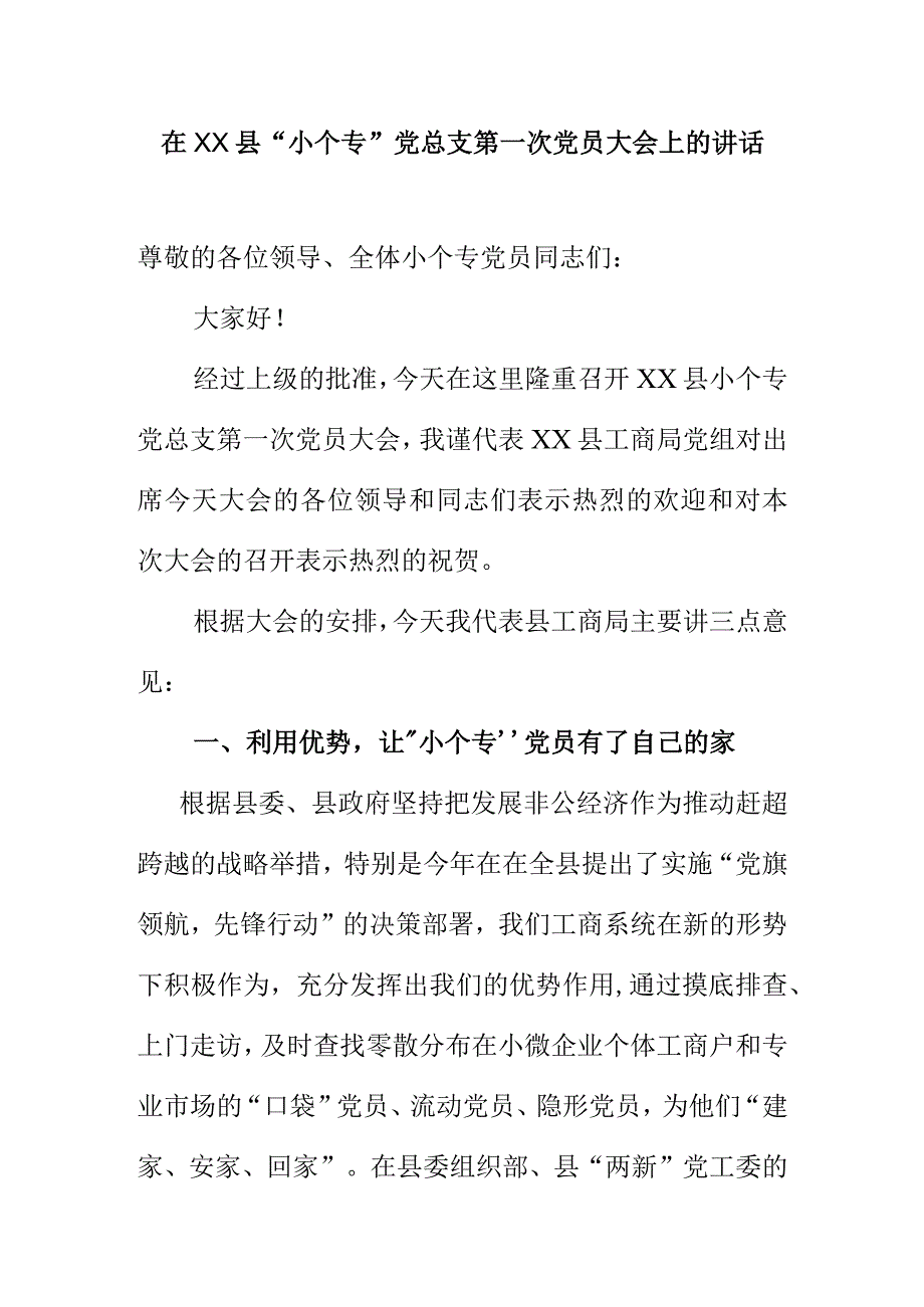 在XX县XX党总支第一次党员大会上的讲话.docx_第1页