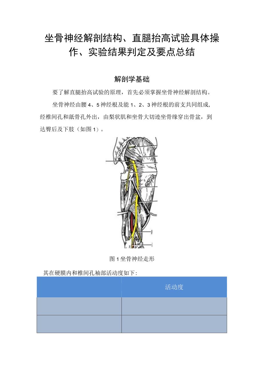 坐骨神经解剖结构直腿抬高试验具体操作实验结果判定及要点总结.docx_第1页