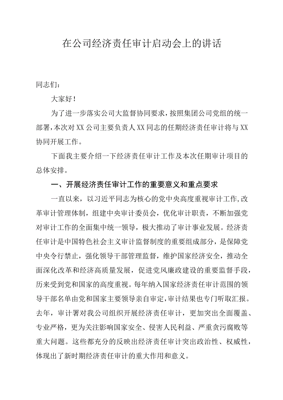 在公司经济责任审计启动会上的讲话.docx_第1页