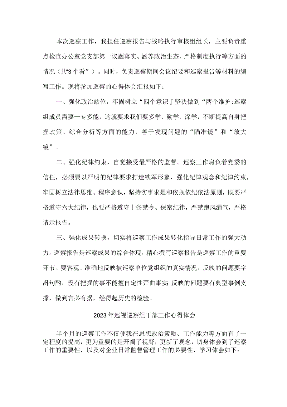 央企2023年巡视巡察组干部工作心得体会合辑五篇 (范文).docx_第3页