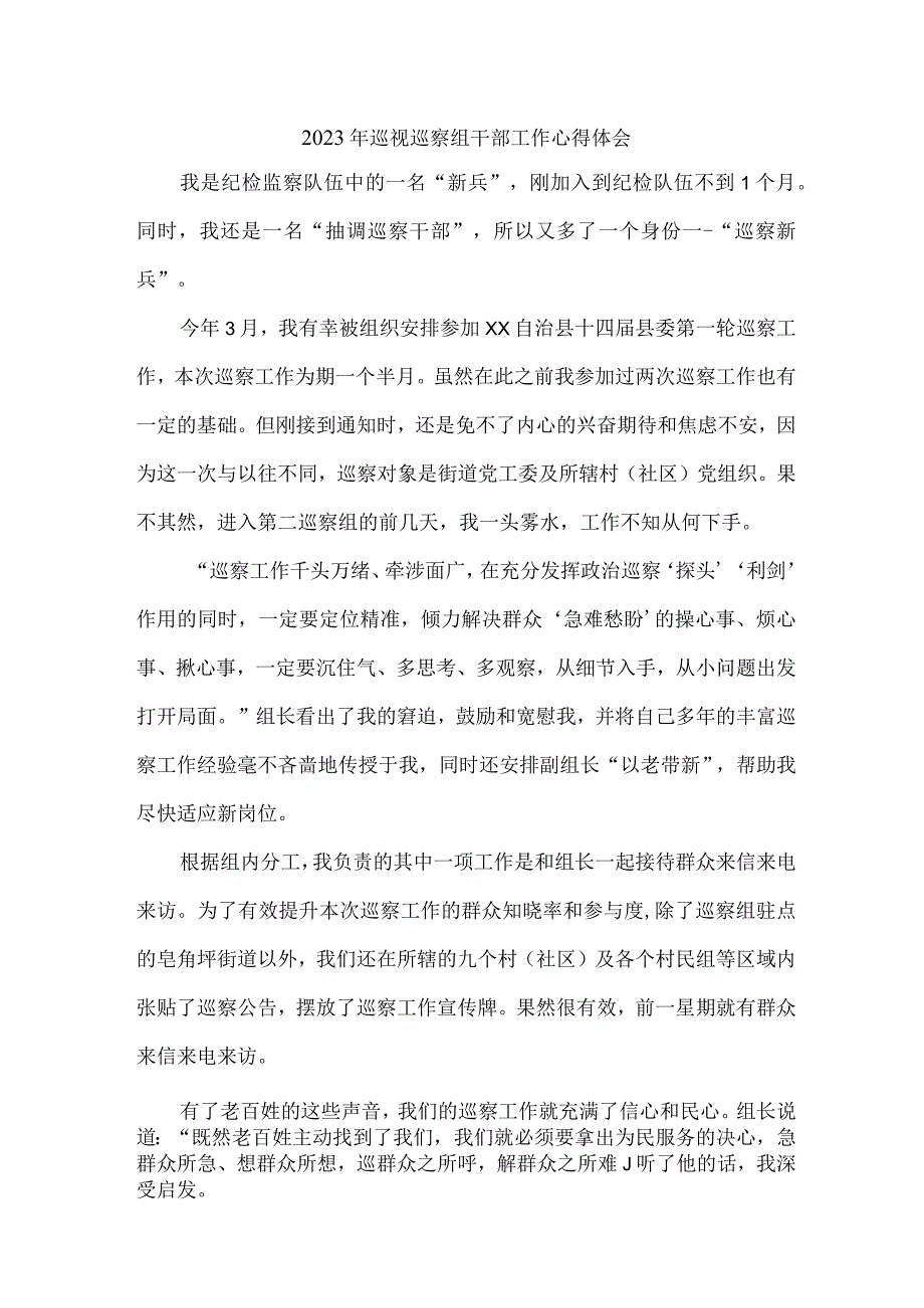 央企2023年纪检巡察组巡检工作心得体会 （8份）.docx_第1页