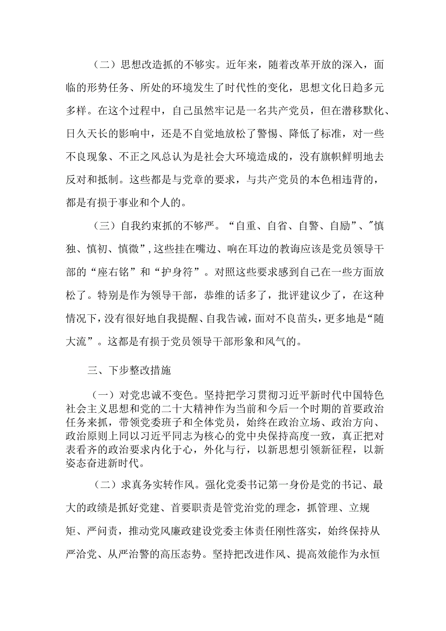 学思想强党性重实践建新功主题教育个人剖析对照检查发言材料.docx_第3页