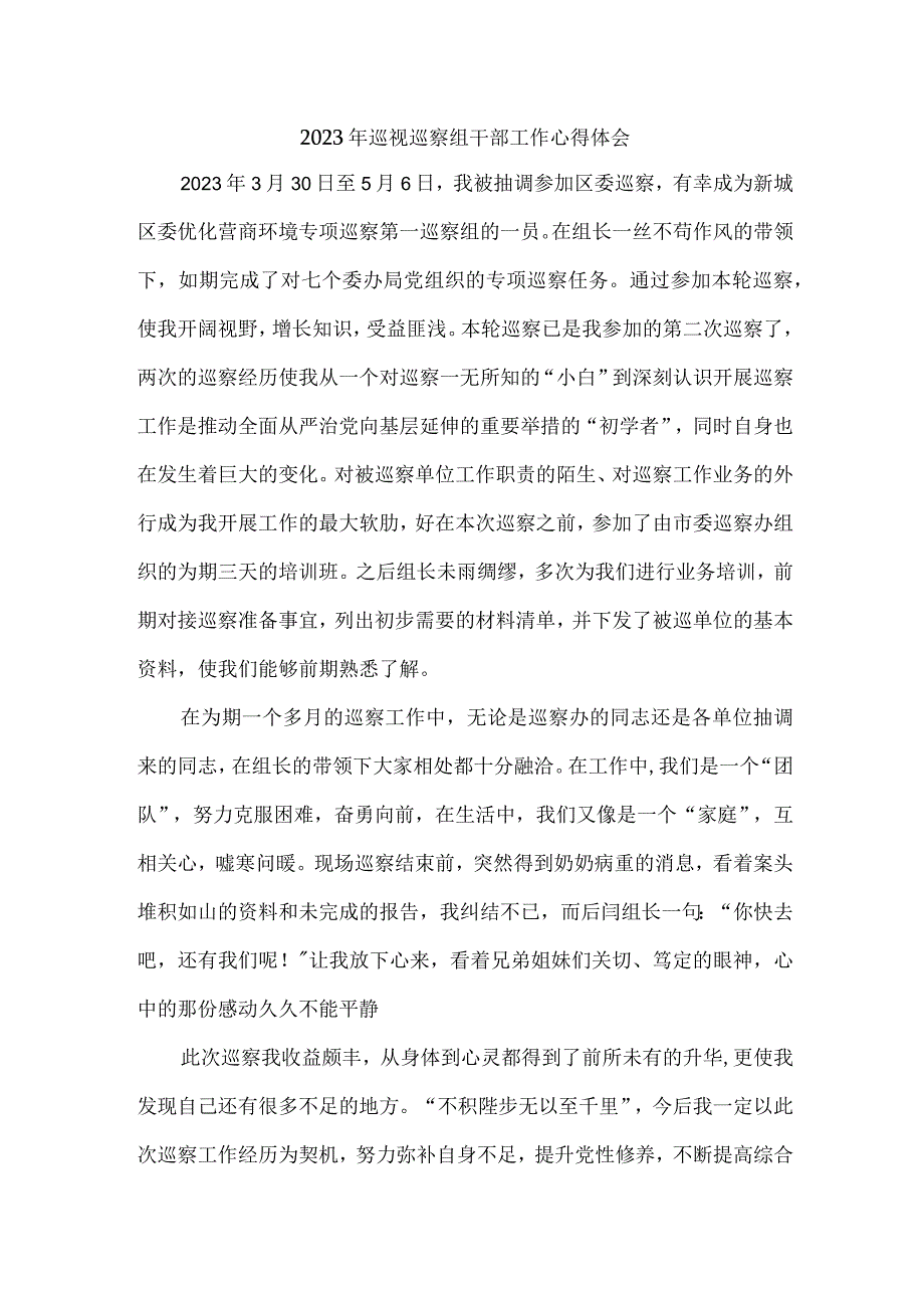 央企单位2023年纪检巡察组巡检工作个人心得体会 （10份）.docx_第1页