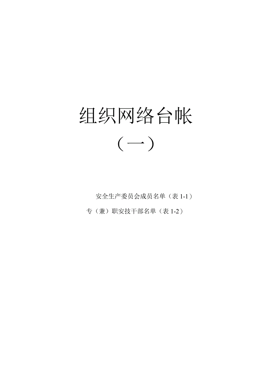 安全管理组织网络台帐.docx_第1页