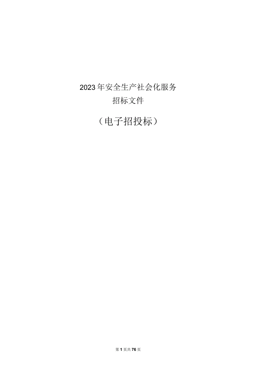 安全生产社会化服务项目招标文件.docx_第1页