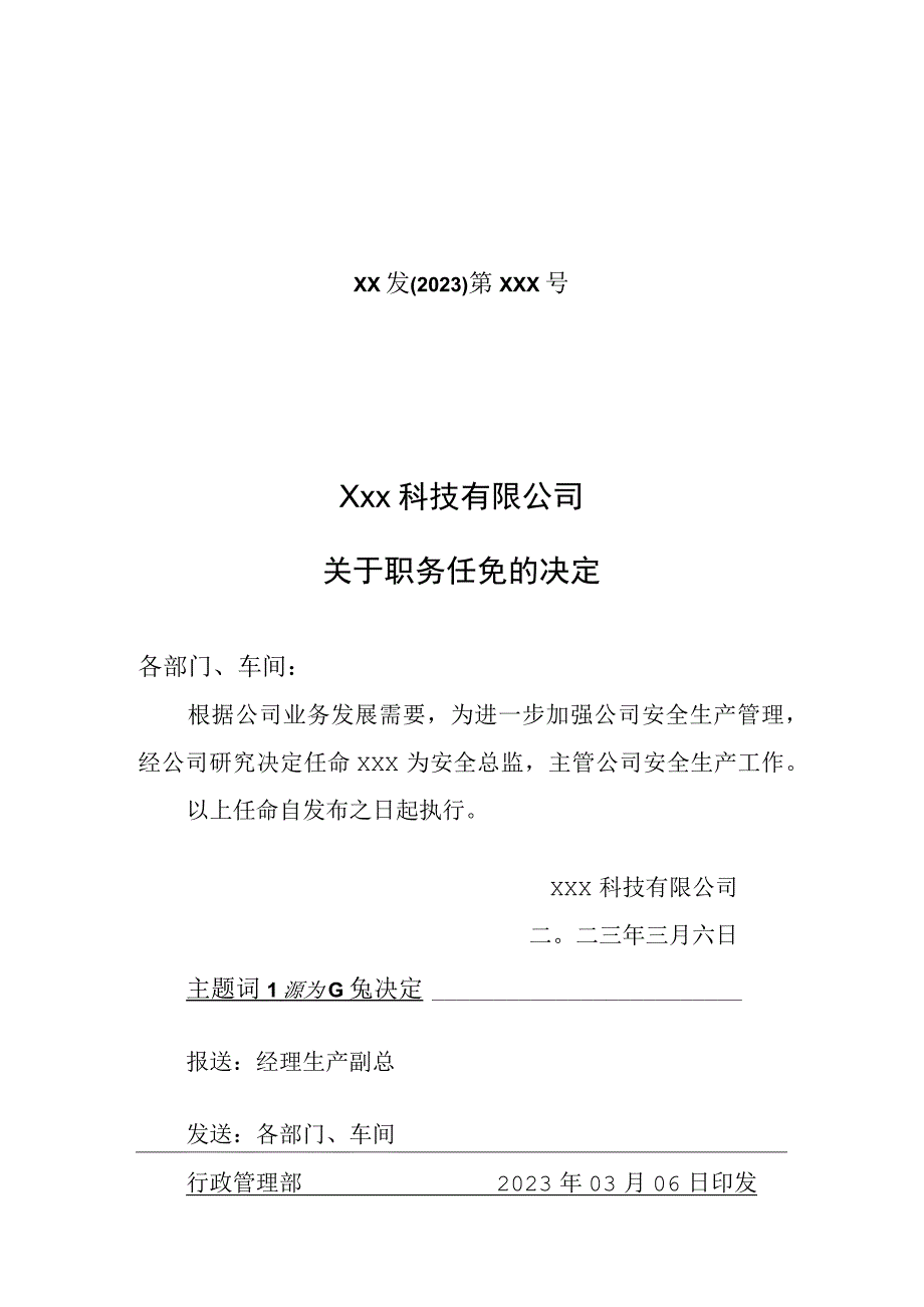 安全总监任命文件.docx_第1页