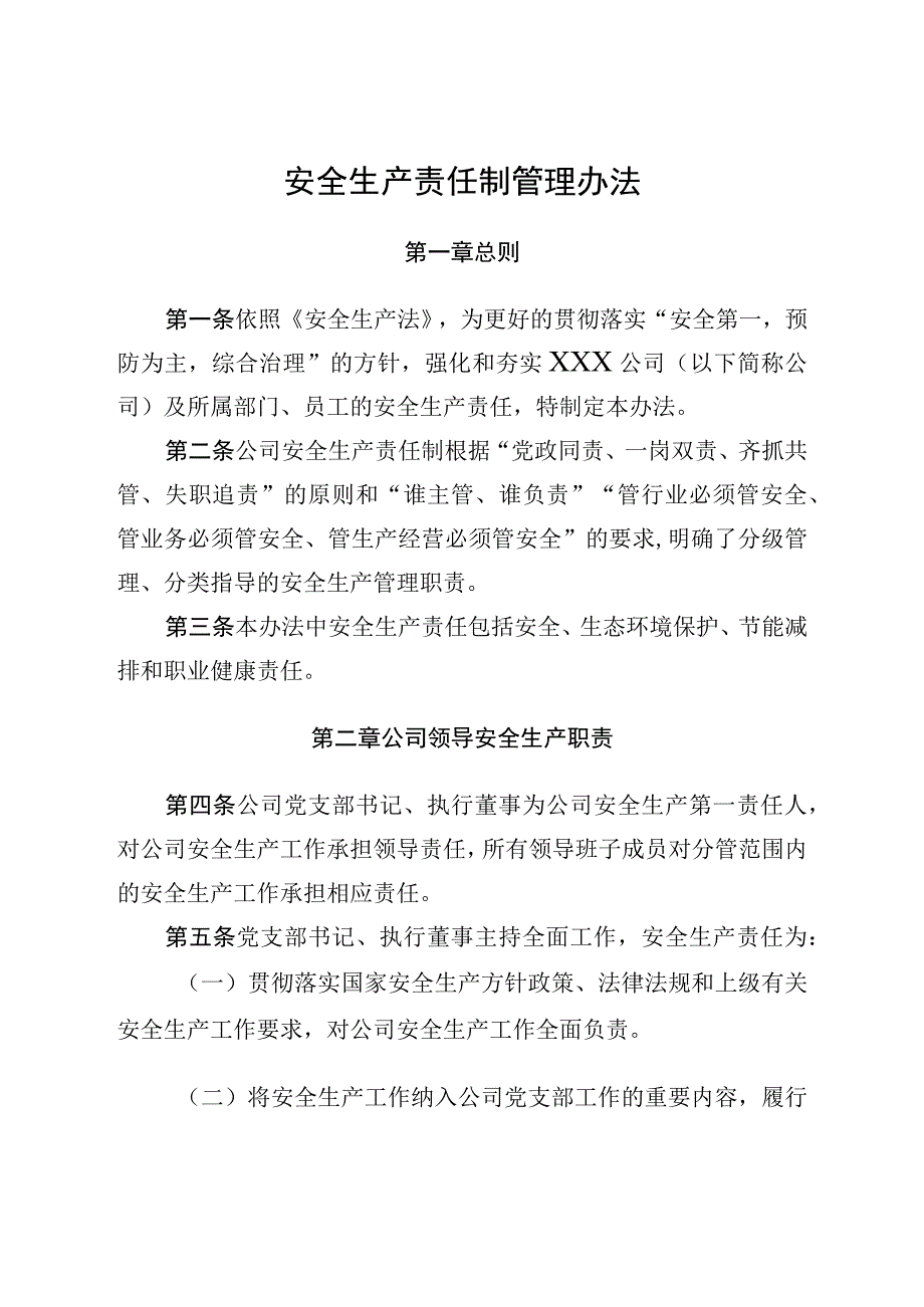 安全生产责任制管理办法.docx_第1页