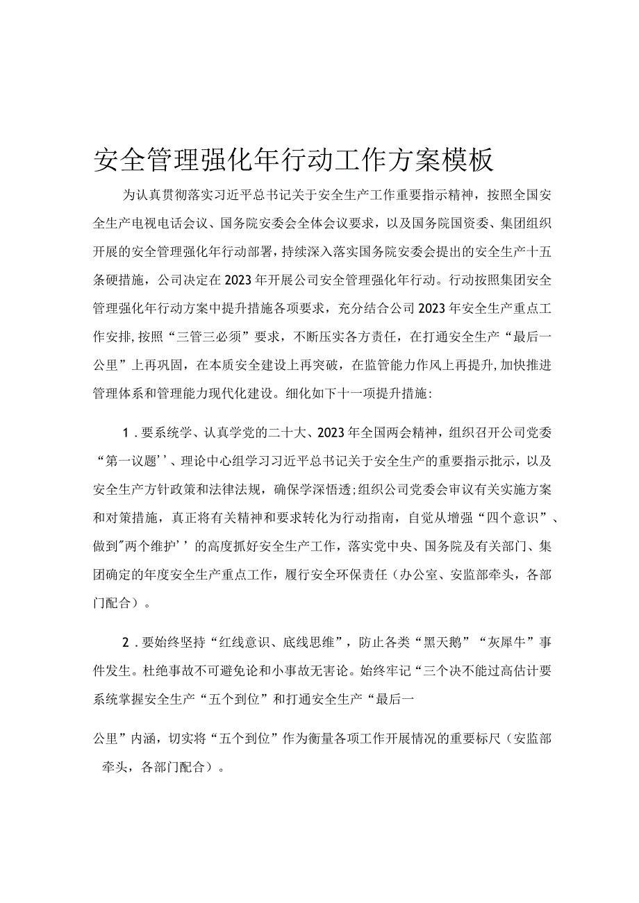 安全管理强化年行动工作方案模板.docx_第1页