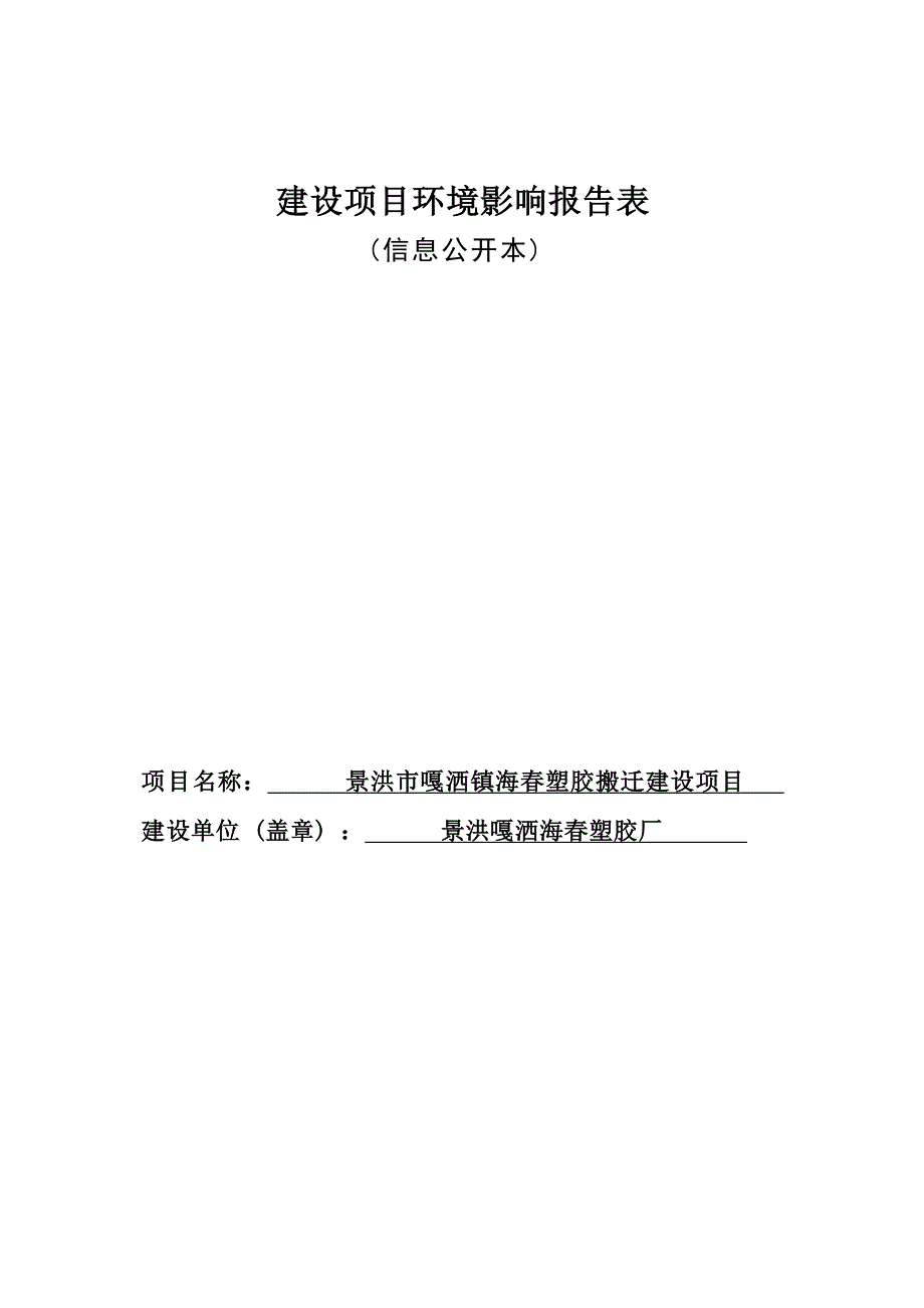 景洪市嘎洒镇海春塑胶搬迁建设项目环评报告.docx_第1页