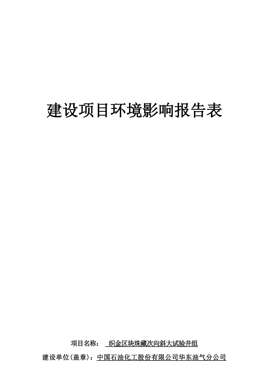 织金区块珠藏次向斜大试验井组项目环评报告.docx_第1页