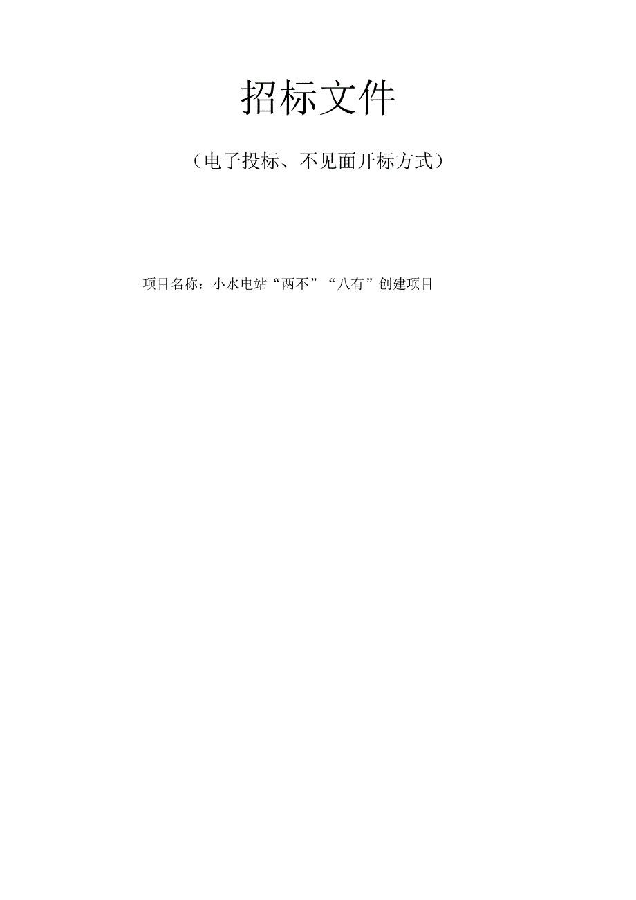 小水电站两不八有创建项目招标文件.docx_第1页